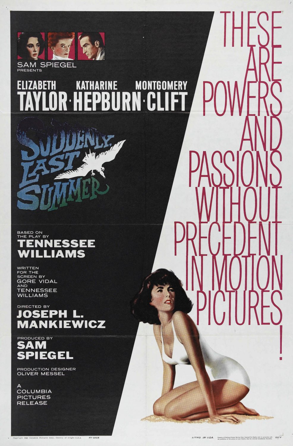 Affiche du film Soudain l'été dernier